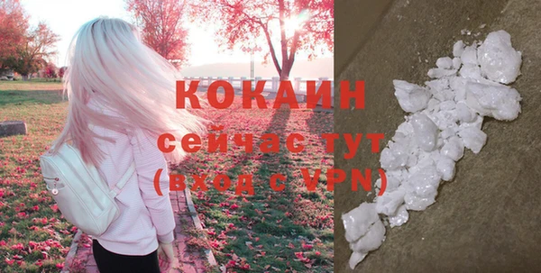 сатива Волосово