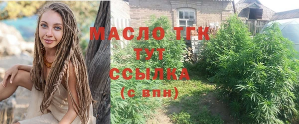молекула духа Верхний Тагил