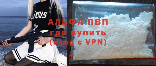 сатива Волосово