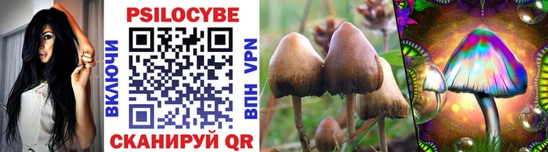 Псилоцибиновые грибы Psilocybe  Гаврилов Посад 