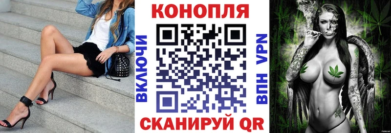 Канабис гибрид  Гаврилов Посад 
